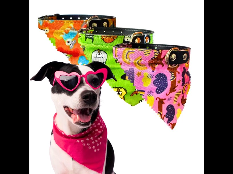 COLLAR CON PALIACATE 
ESTAMPADO 2