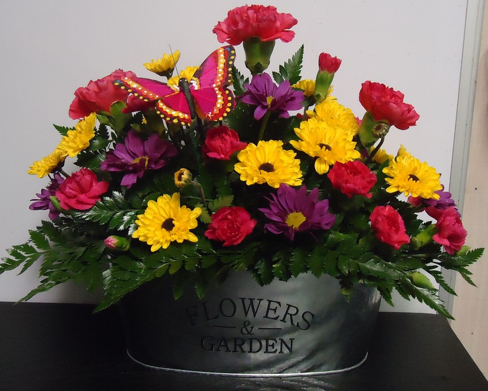 (5) "Fresh" Mix Planter
(Colors Vary Daily)
$50.00