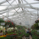 Cooling a Retail Nursery