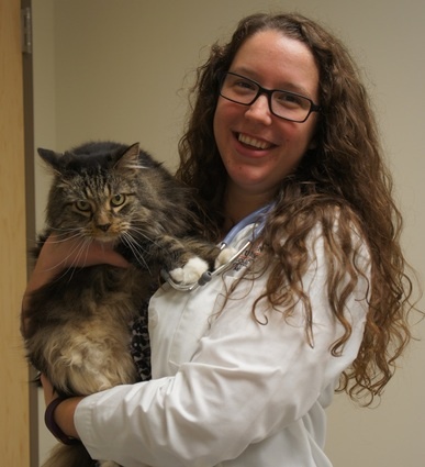 Dr. Hannah Kurtz Dr. Hannah Kurtz