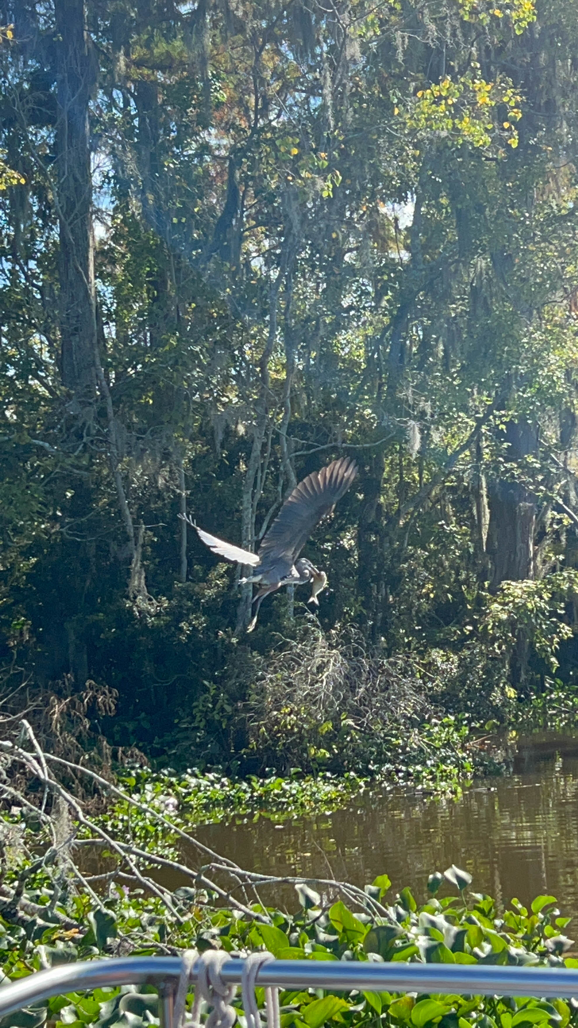 https://0201.nccdn.net/1_2/000/000/198/271/new-orleans-order-115.jpg