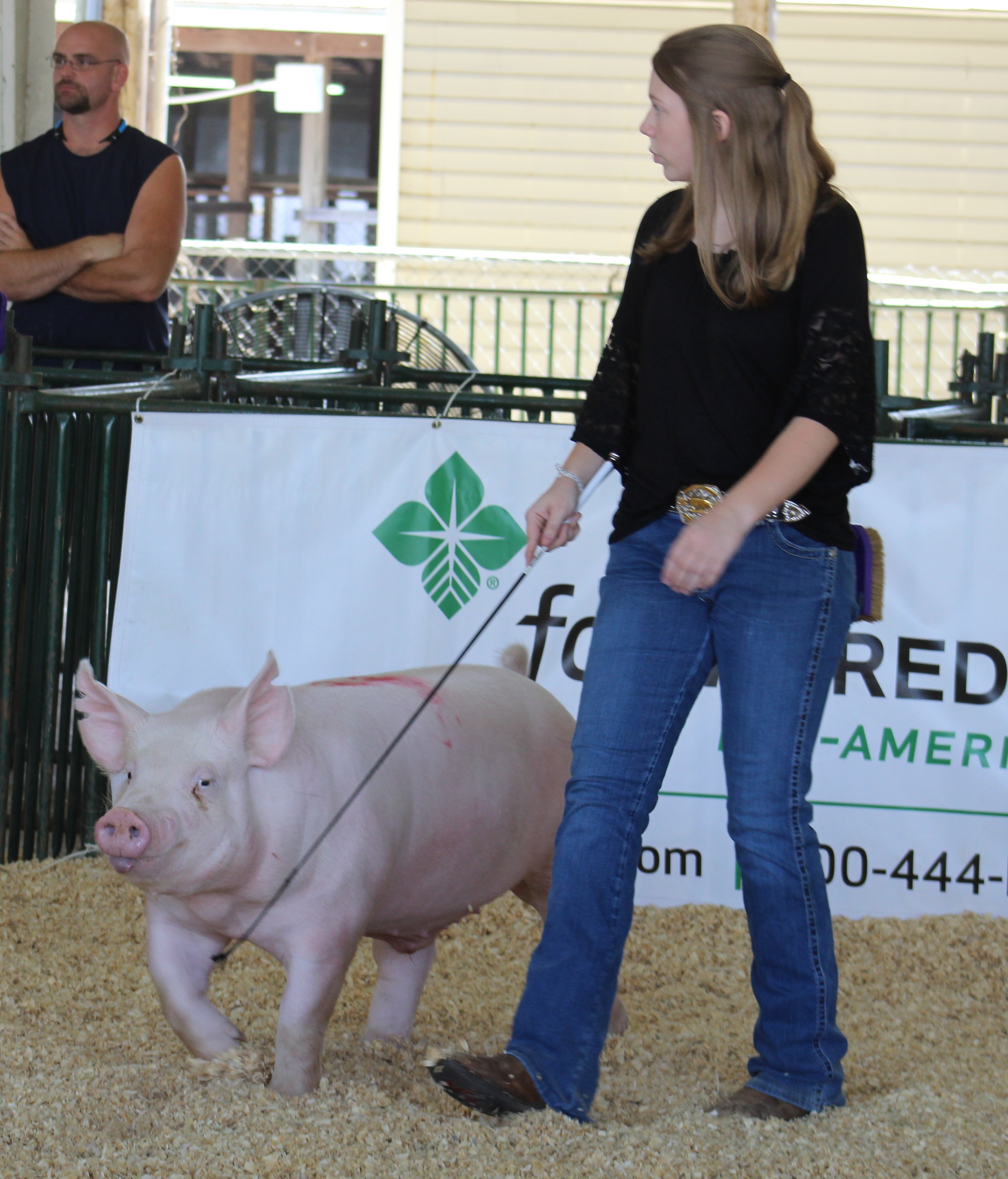 Kennedy Hill
2016 Tennessee State Fair
Reserve Champion York Barrow