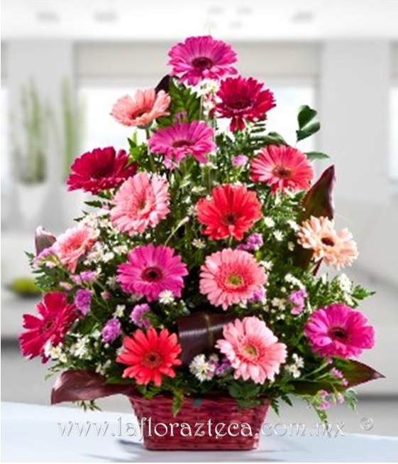 LFA -314
Precio $990