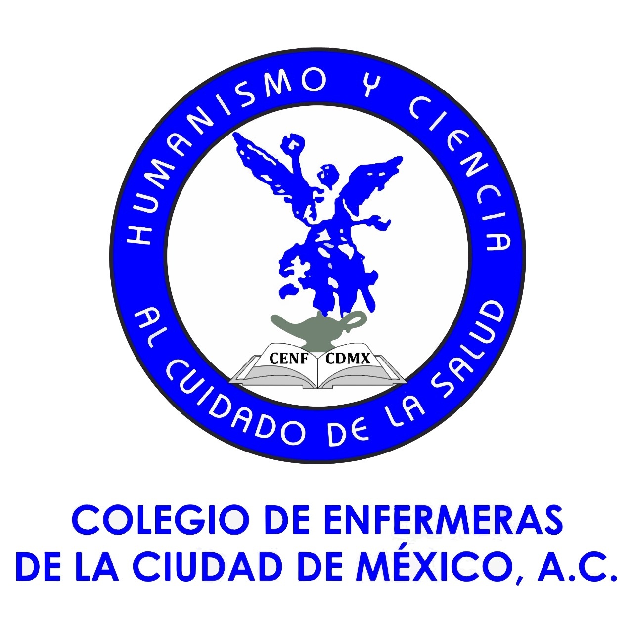 Colegio de Enfermeras de la Cuidad de México A.C.