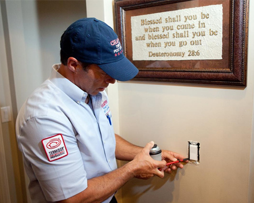 Pest Control Company | Pest Exterminators Palatka