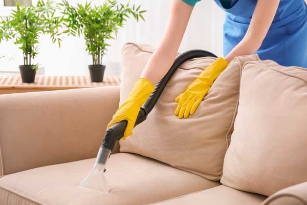 Woman Cleaning Couch