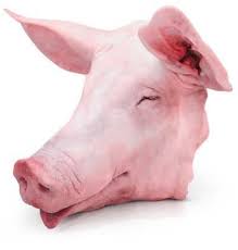 CABEZA DE CERDO