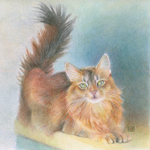 SOFA 2008: Flying the Flag (8" x 10" coloured pencil) Framed - £220