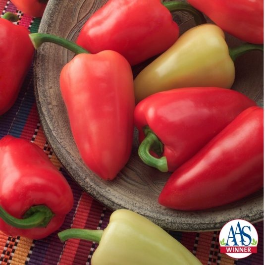 Pepper Mariachi Pepper Mariachi