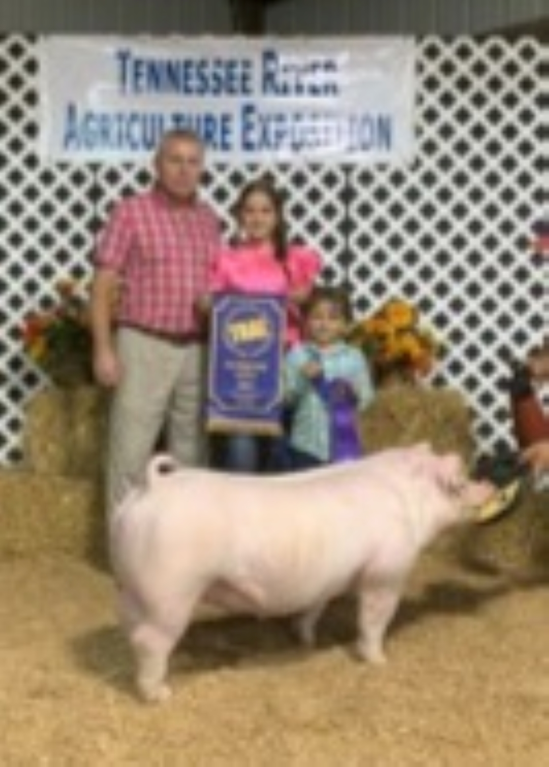 2023 Lincoln County Fair
Champion Chester White Gilt
Reserve Champion Duroc Gilt 
Reserve Champion AOB with a Spot Gilt 

2023TN River Agricultural Exposition
Overall Champion with Chester White Gilt
Champion Chester White Gilt
Champion Duroc Gilt
Champion Spot Gilt
Champion Spot Barrow