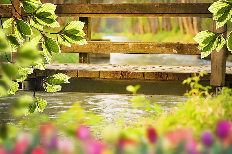 https://0201.nccdn.net/1_2/000/000/199/e35/hd-wallpaper-spring-bridge-water-flowers-nature.jpg