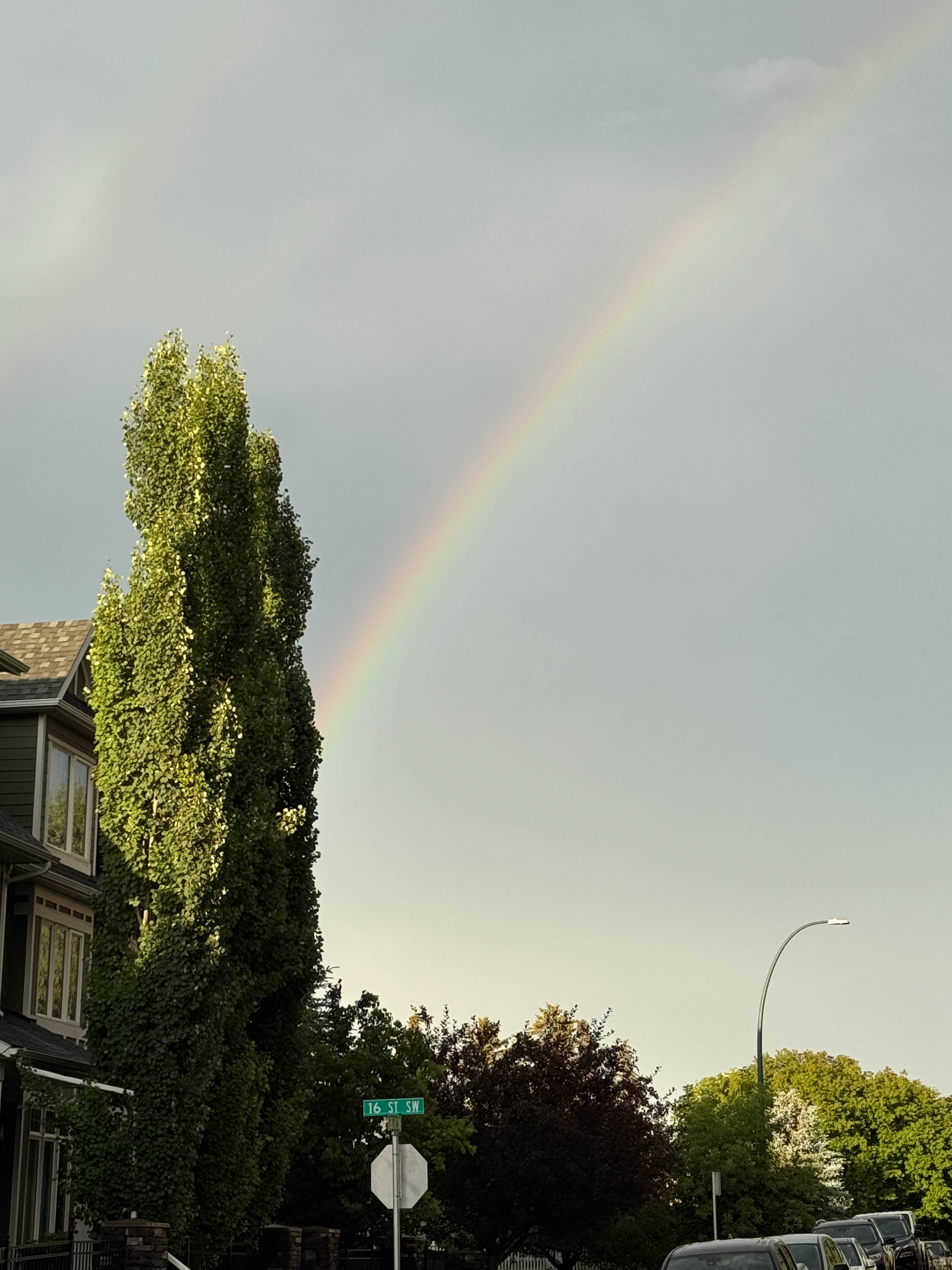 https://0201.nccdn.net/1_2/000/000/19a/0ed/edmonton-order-78.jpg