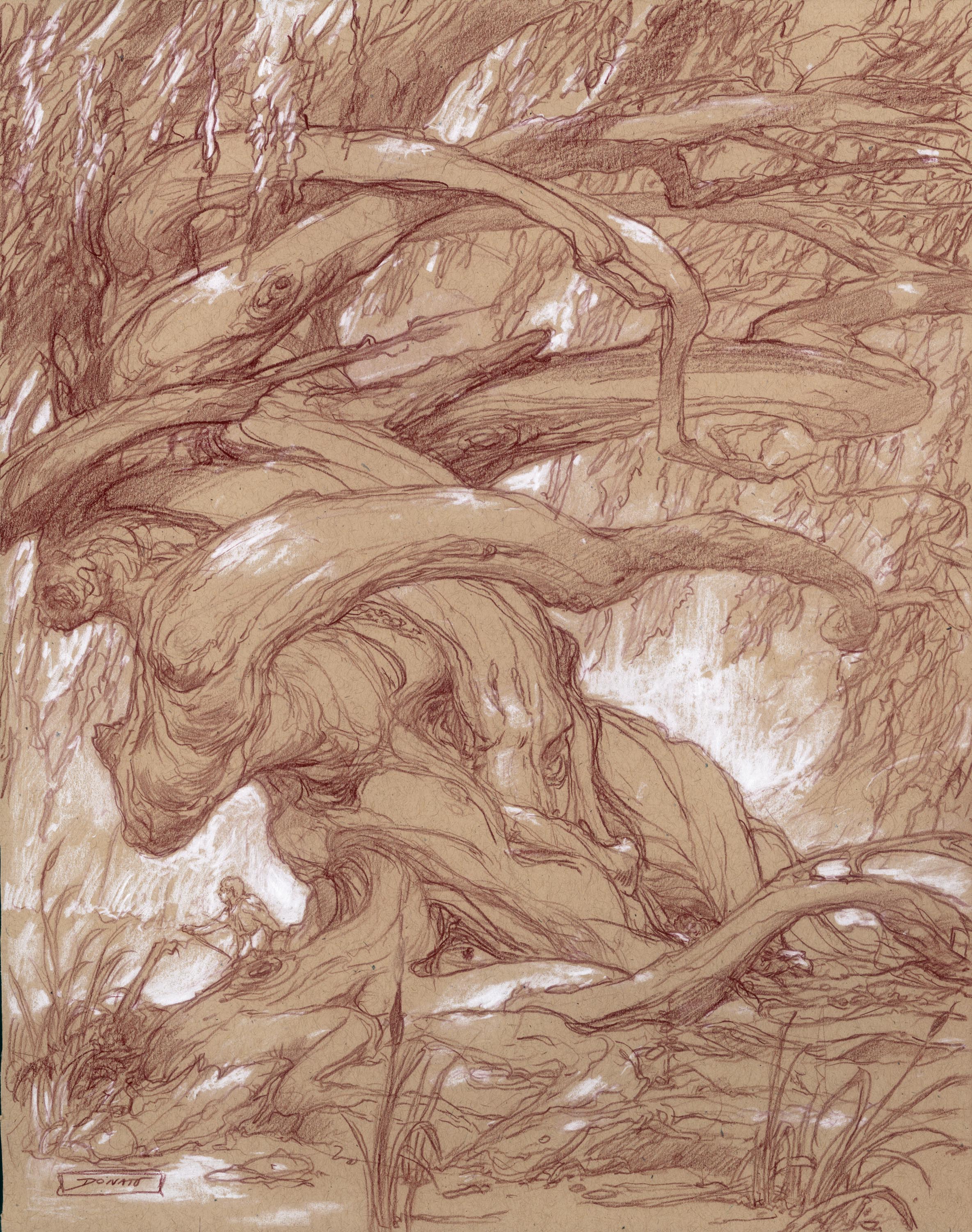 https://0201.nccdn.net/1_2/000/000/19a/1d4/037-oldmanwillow.jpg