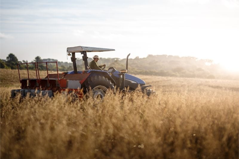 Farmer tractor driver picking