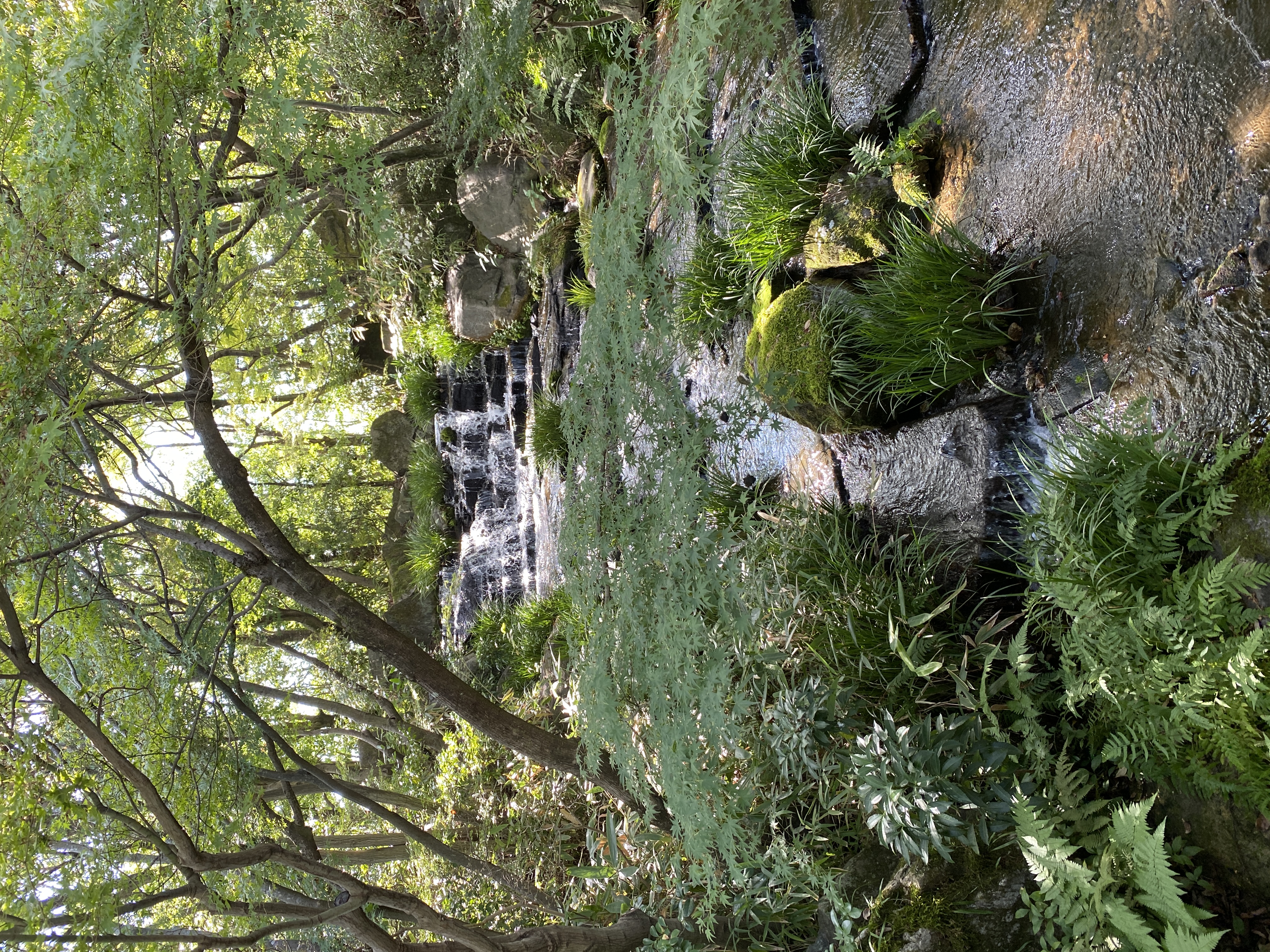 Visited the gardens next to Himeji Castle and had a very nice lunch.