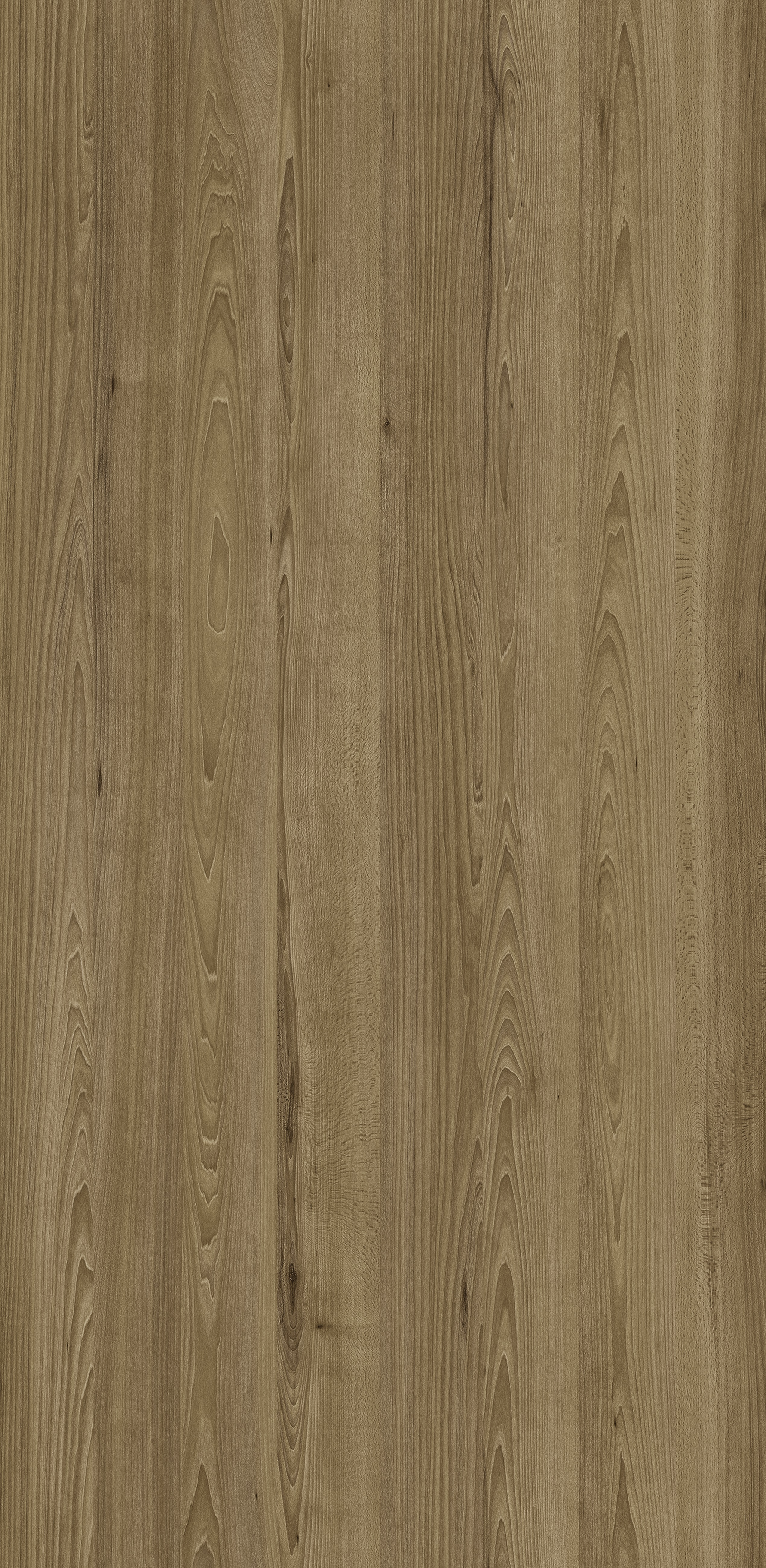 MDF Eucafibra BP Raízes - FREIJÓ ÂMBAR