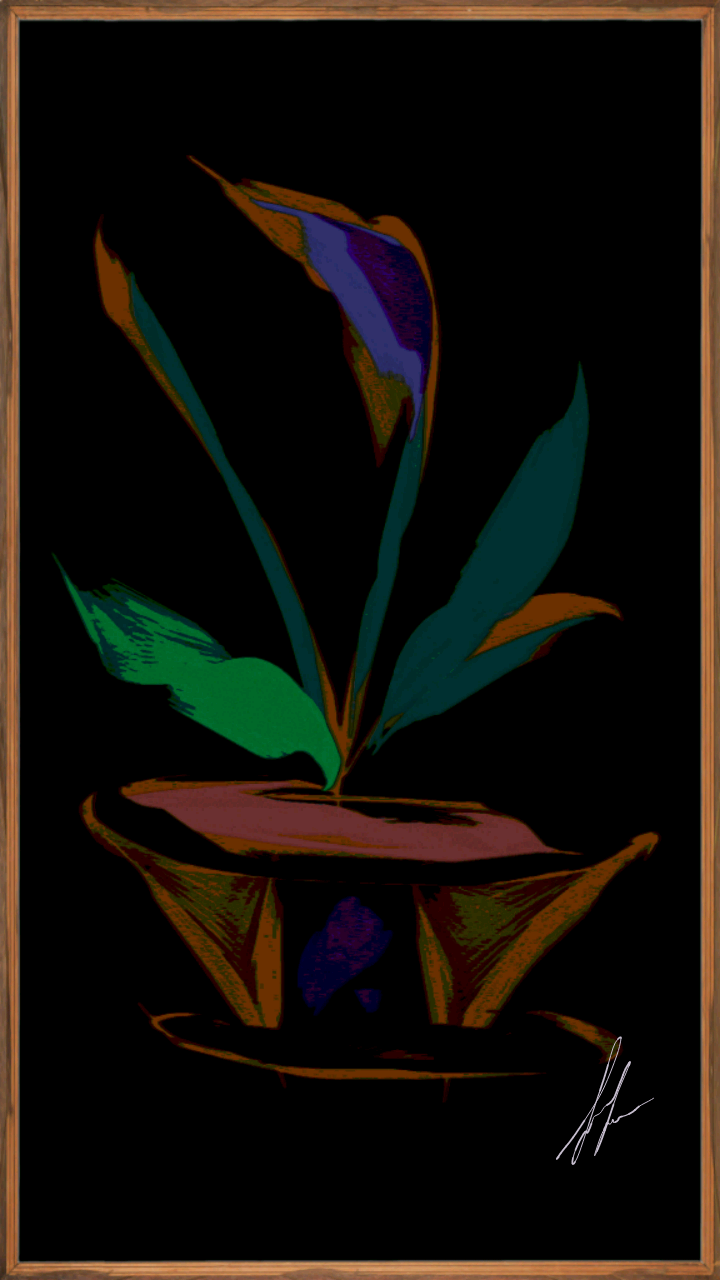 Bloom