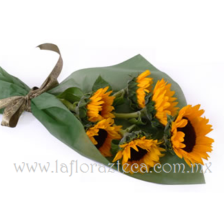 MD - 106  $780
Bouquet de 6 Girasoles