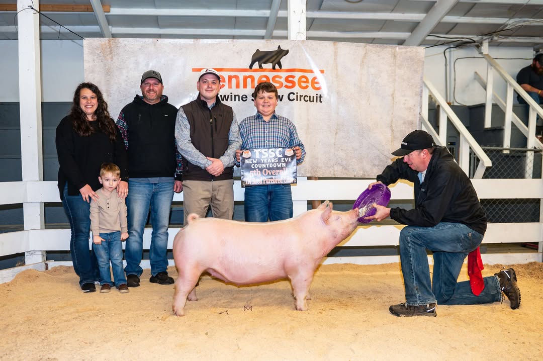 Stockton Peevyhouse
2024 New Years Eve Countdown
Reserve Champion TN Bred
 Chester White Gilt
5th Overall TN Bred Purebred Gilt