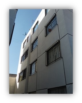 JESÚS CARRANZA 
No. 30
No. DE  VIVIENDAS 32
