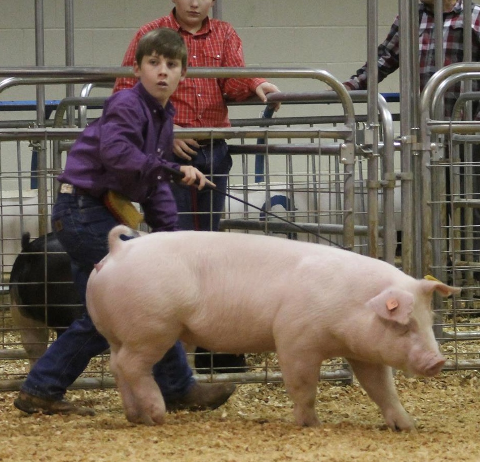 John Porter Prater
2017 TN State Market Hog Show
4th in Class