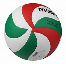 https://0201.nccdn.net/1_2/000/000/19a/dc2/voleibol.jpg