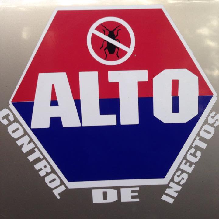 Título del sitio