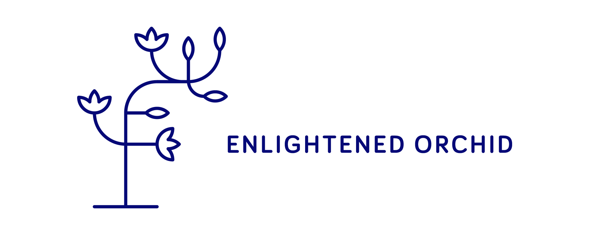 Enlightedned Orchid, LLC