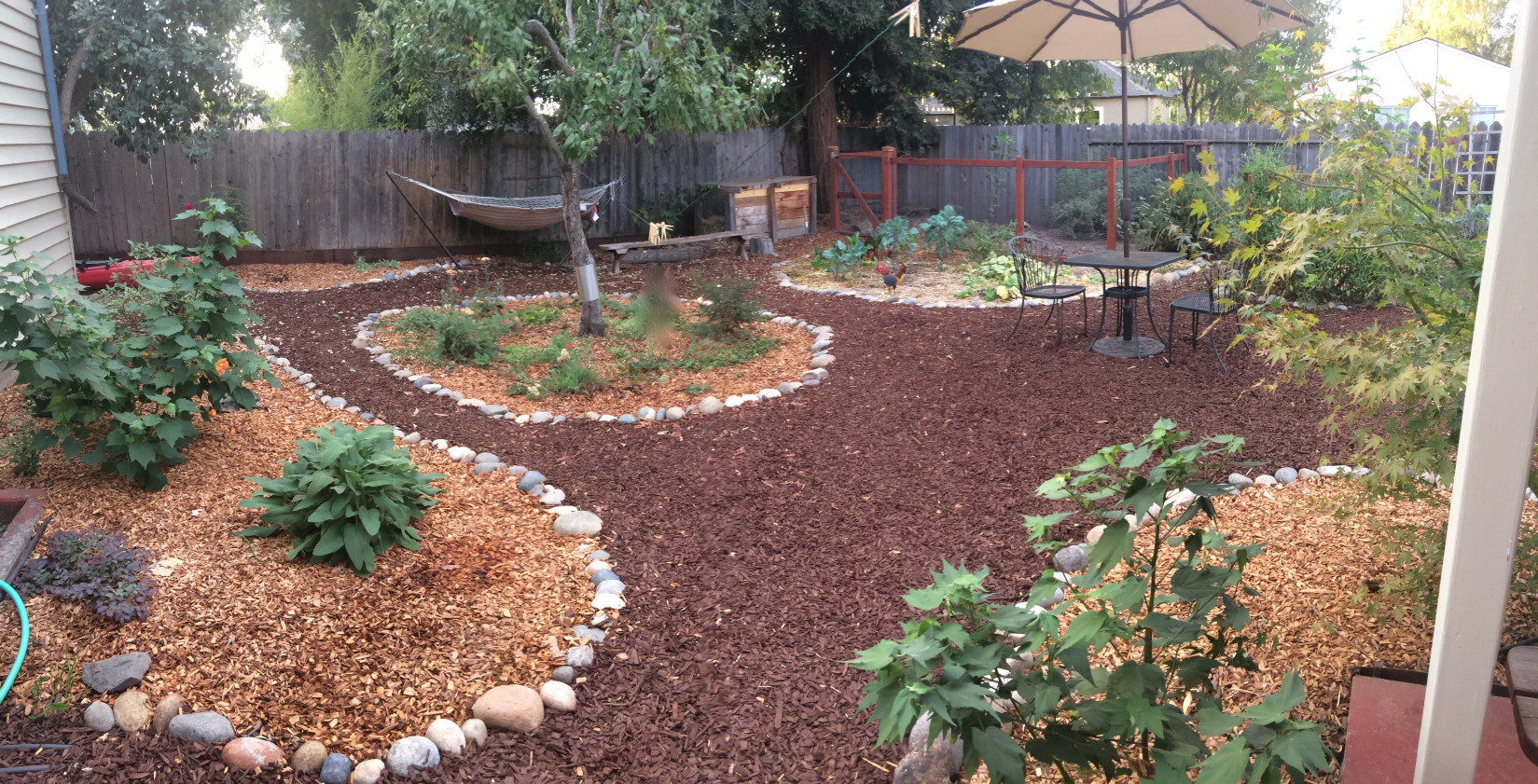 6 months after planting