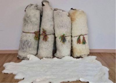 Zaleas
1,000.00 mx c/u