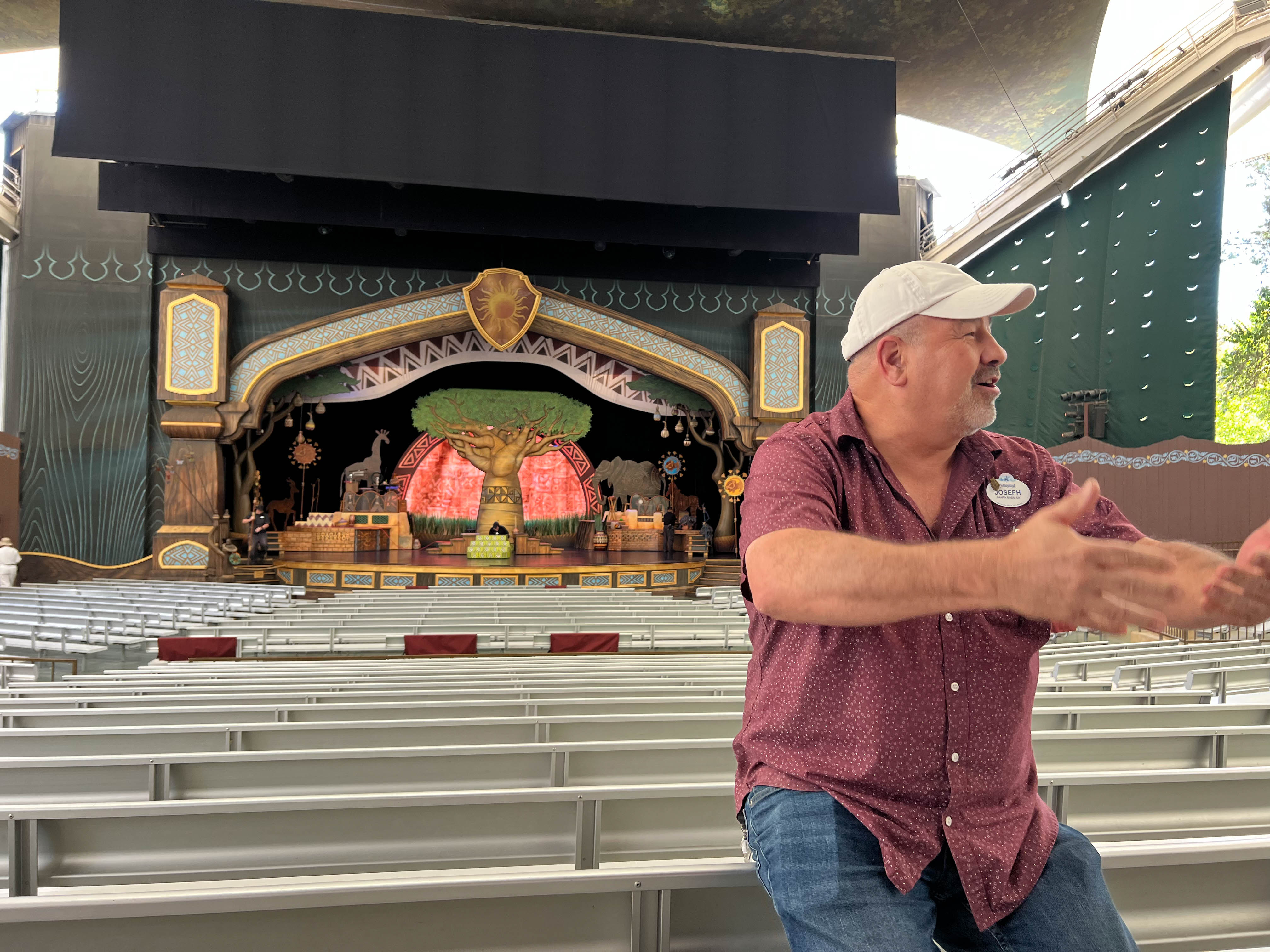 VIP viewing of The Lion King Show at Disneyland