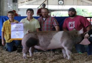 Gill Derryberry: Reserve Supreme Barrow 
2015 Tennessee State Fair