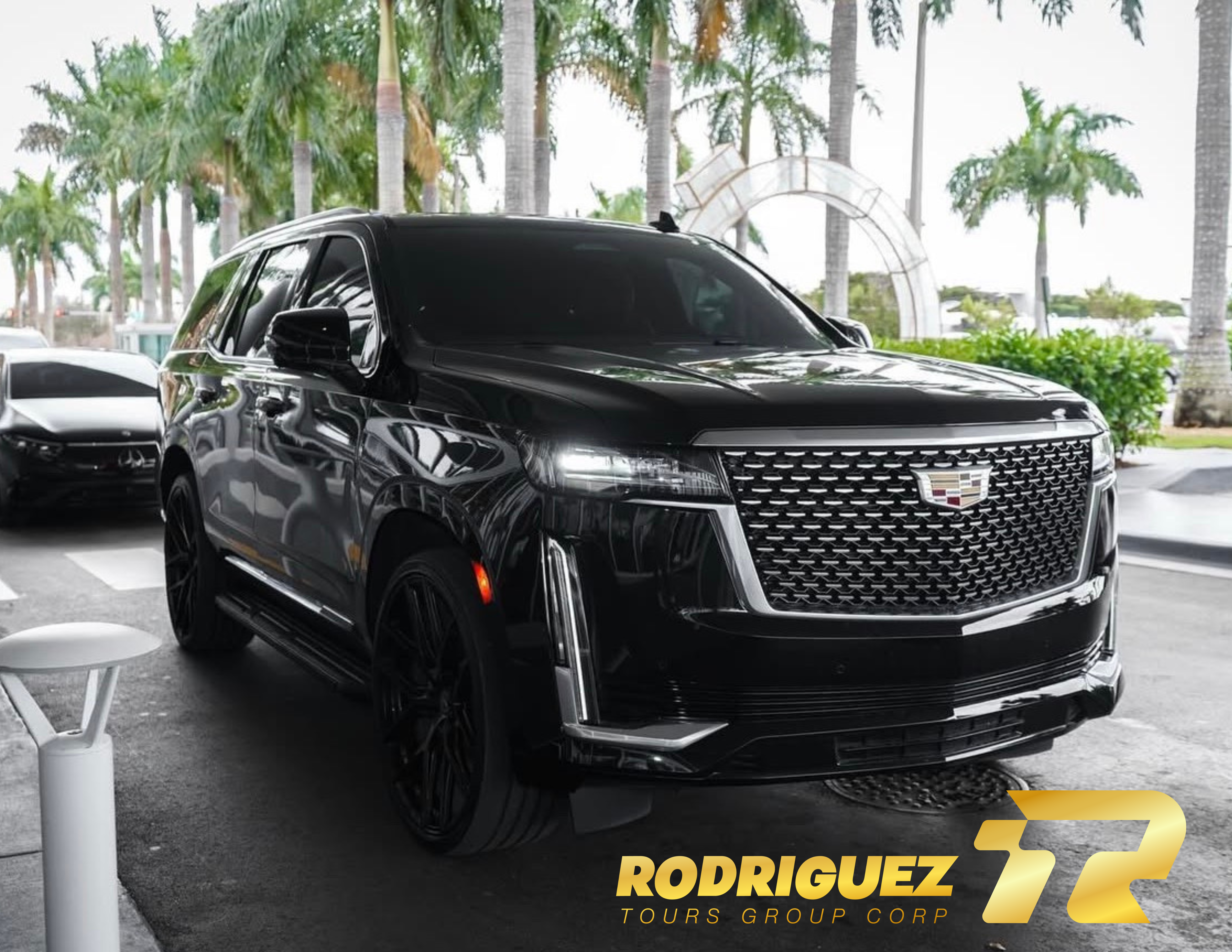 Dos autos deportivos Mercedes-Benz en exhibición en un salón moderno con personas alrededor.