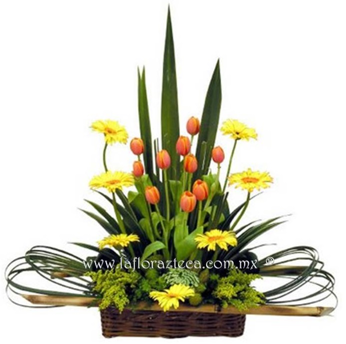 LFA-OT021
Precio $1,490