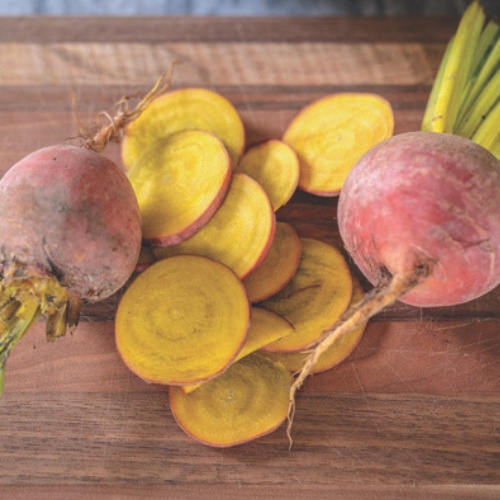 Beet Touchstone Gold Beet Touchstone Gold