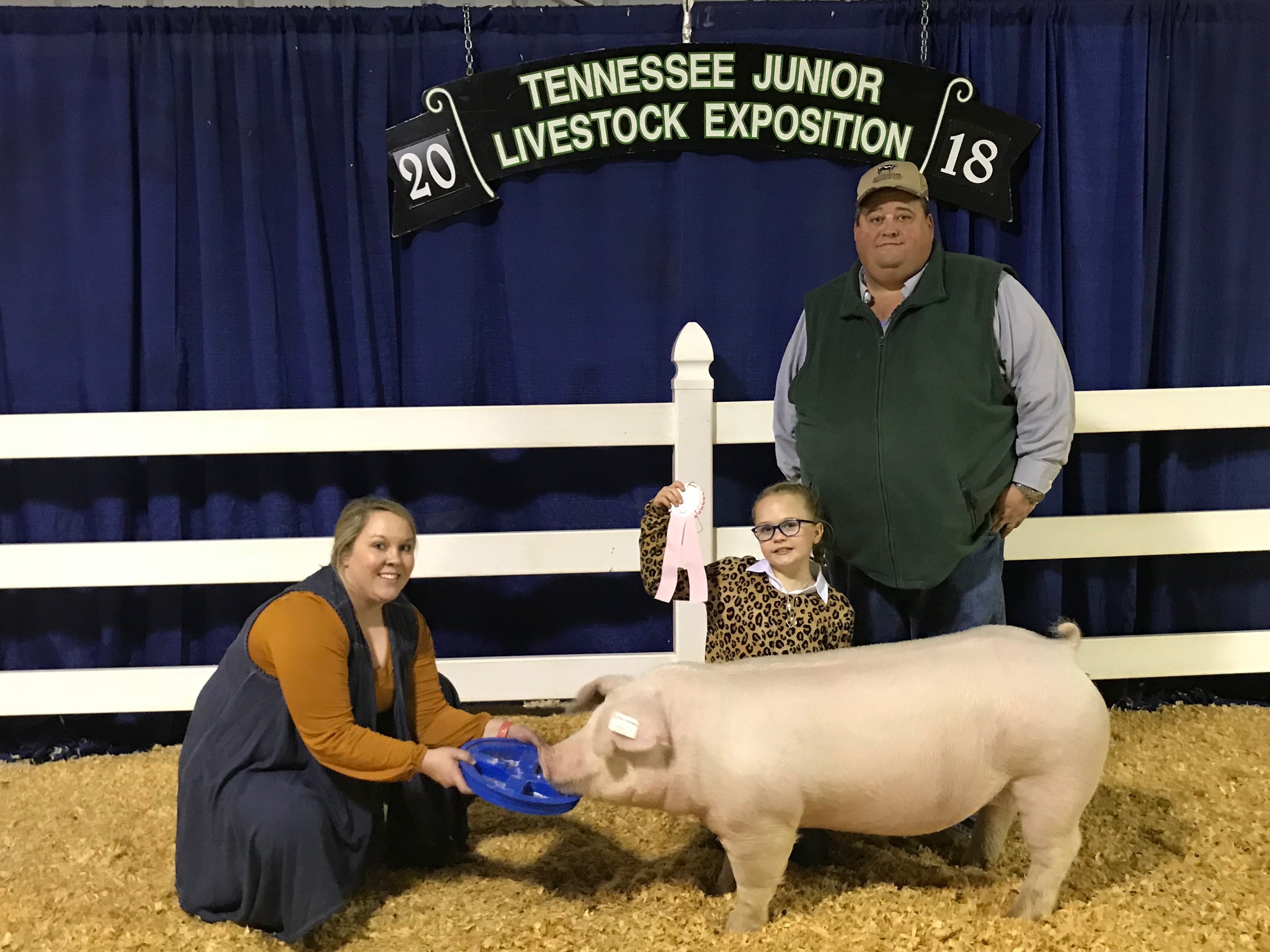 Mary Carter Shirley
2018 Tennessee State Show
Reserve Champion Chester White Gilt