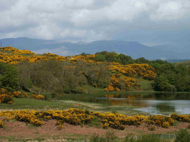 From Pennyfair Cemetery,Oban