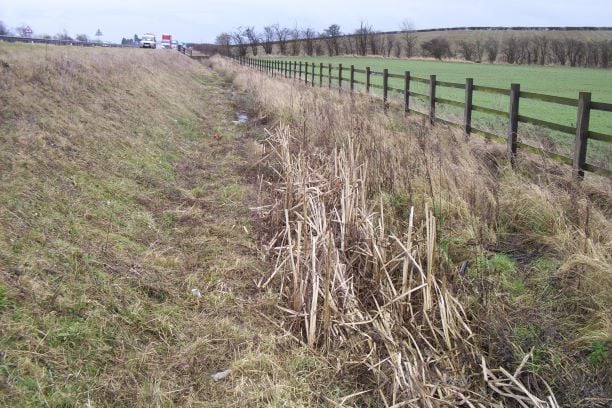 Ditch Cleaning - Cambridgeshire