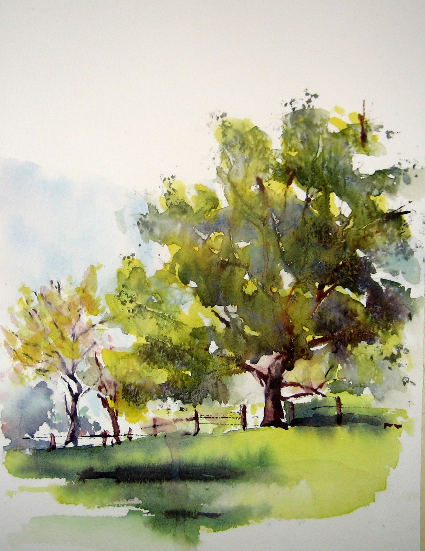 https://0201.nccdn.net/4_2/000/000/001/88e/tree.jpg