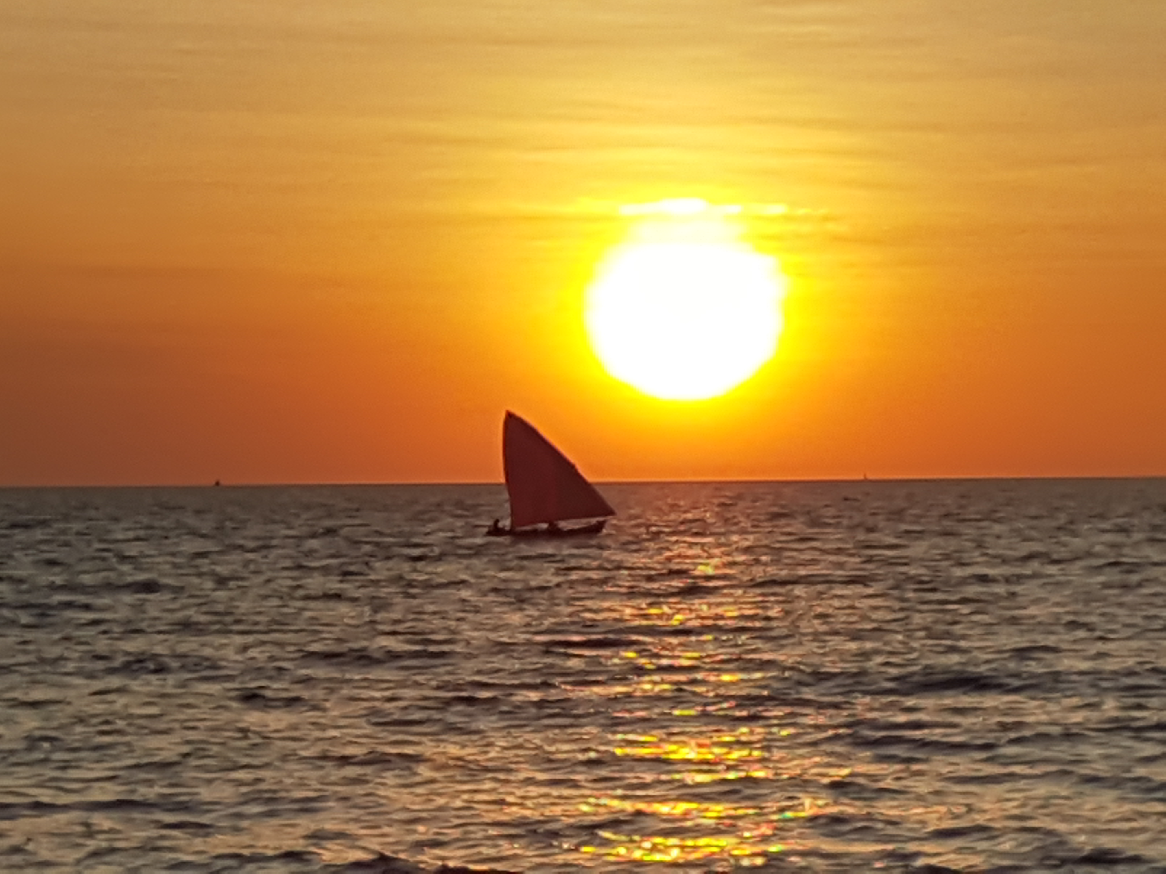 Dhow at sunset .