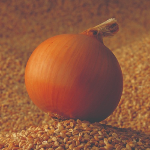 Onion Expression Onion Expression
