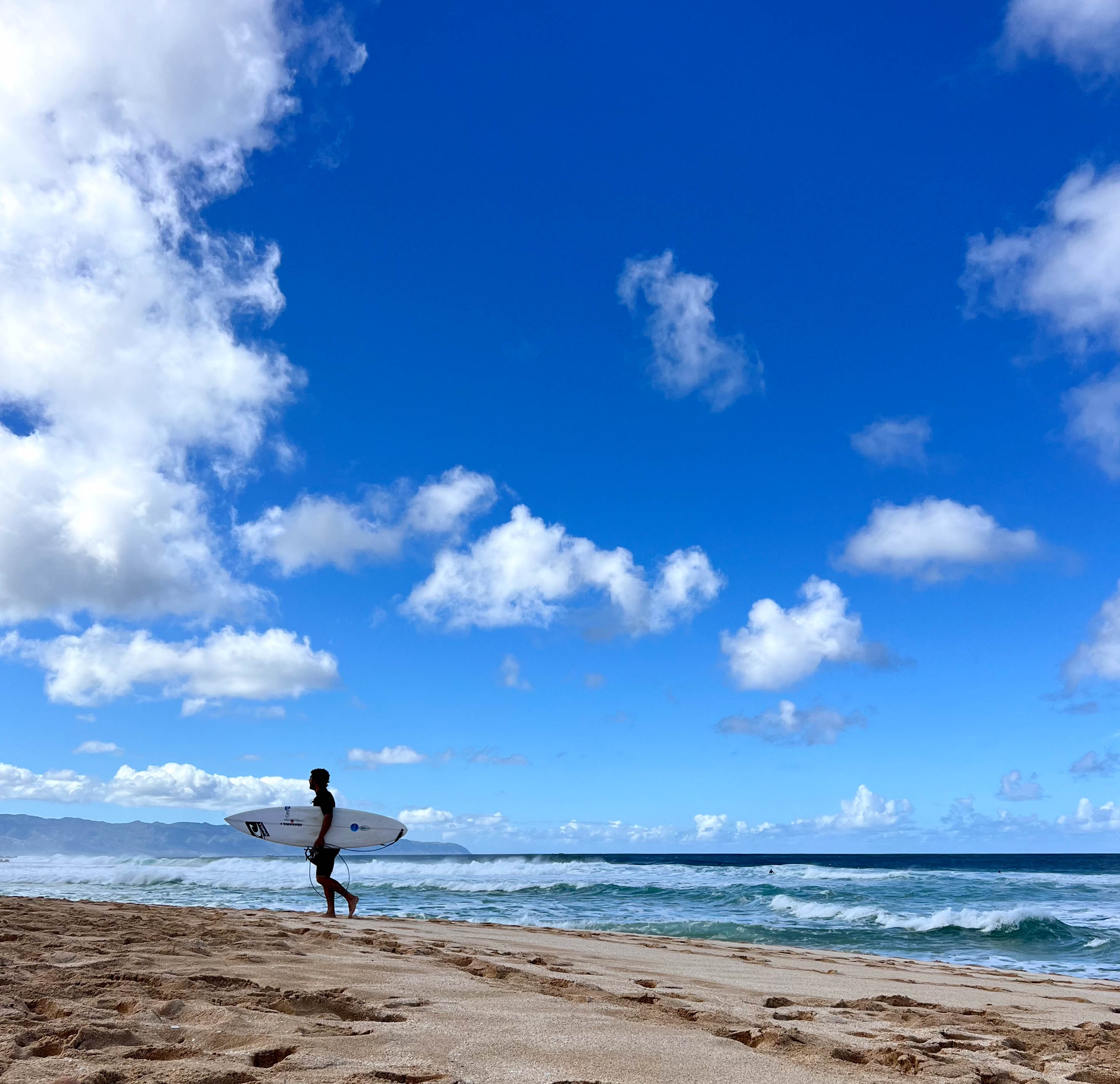 https://0201.nccdn.net/4_2/000/000/001/e1c/hawaii-order-51.jpg