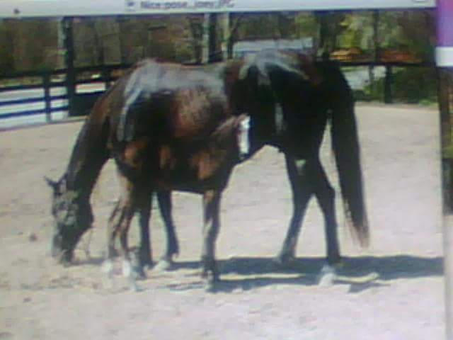 Bentley with his Mommy