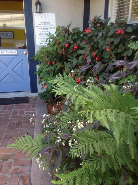 Indigo Real Estate 1