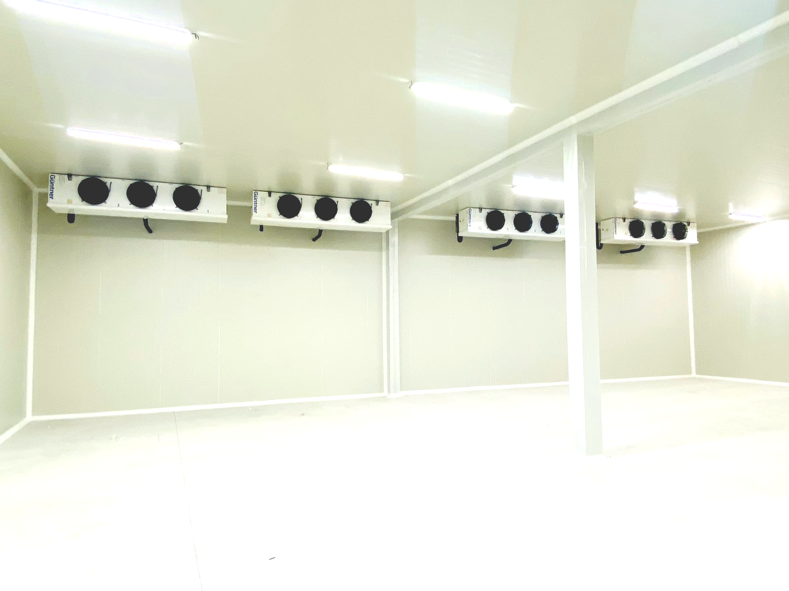 (##AI##(Background.image1.alt)##AI##)