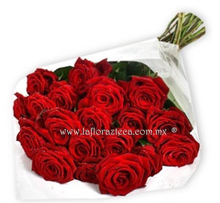 LFA-RS004 24 Rosas en Celofán
Precio $750