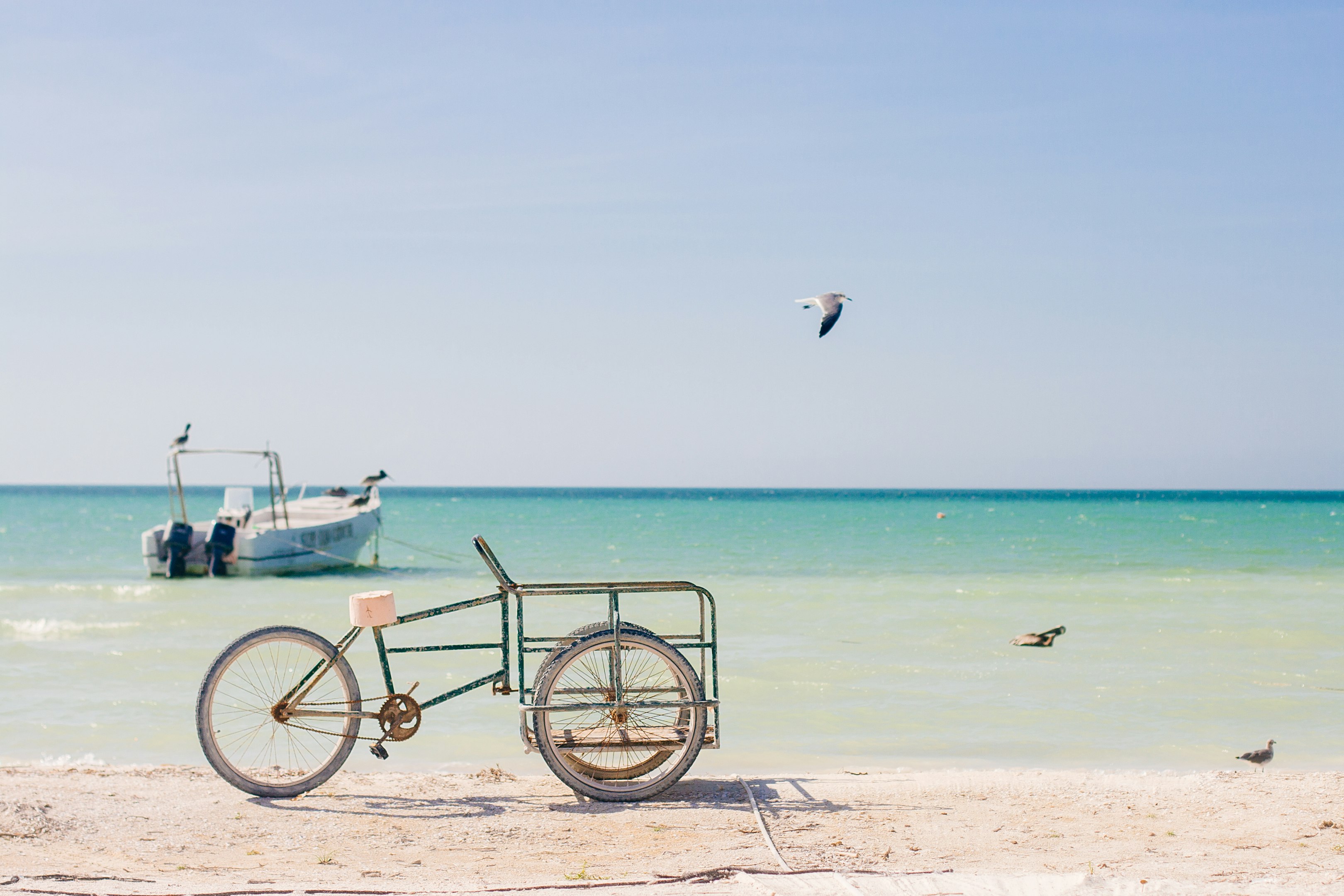 Recepción moderna en una agencia de viajes con plantas decorativas y ventana amplia.