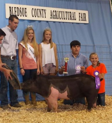 Bow Family
Bledsoe County Fair
Champion Breeding Gilt 
Reserve Overall Championship 