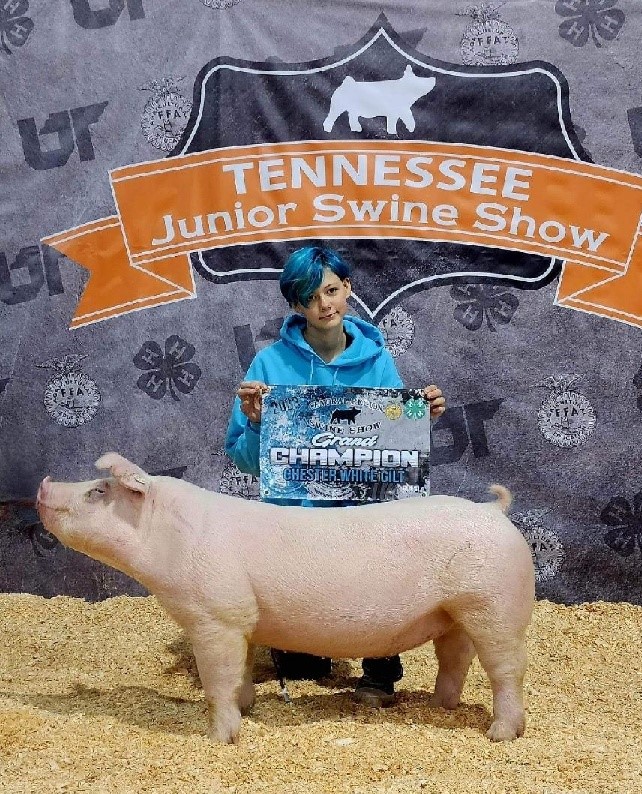 Samantha Lindsey
2023 TN Central Region 4-H Swine Show
Grand Champion Chester White Gilt


