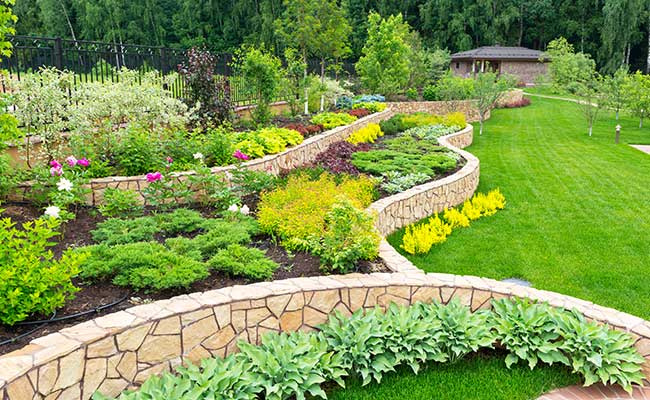 Natural Landscaping In Home Garden